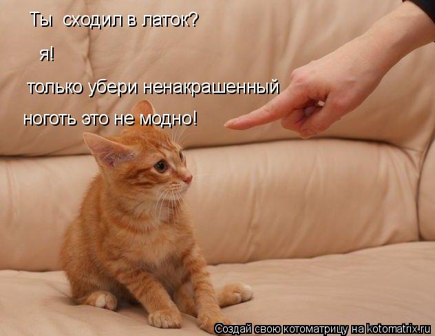 Ты сходил в латок? я! только убери ненакрашенный ноготь это не модно!... Котоматрица: Ты сходил в латок? я! только убери ненакрашенный ноготь это не модно!