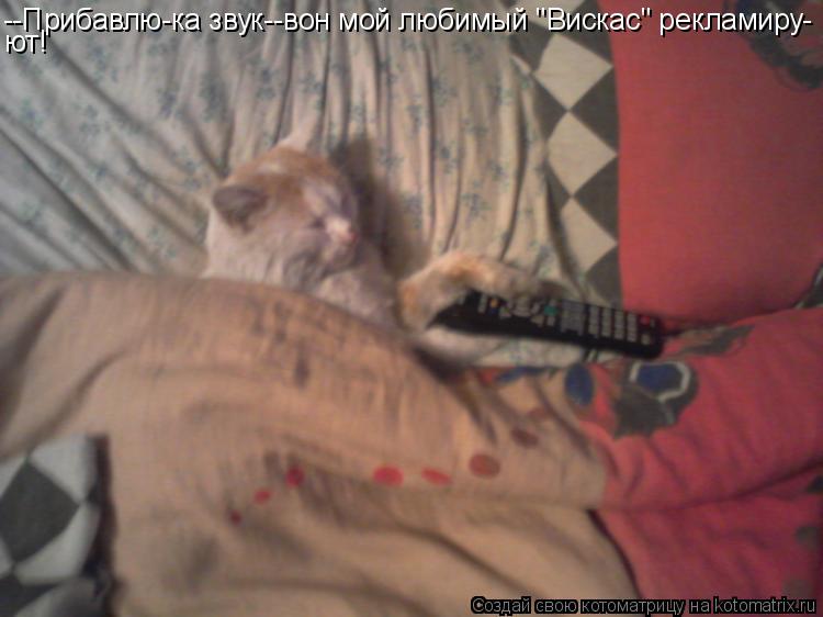 --Прибавлю-ка звук--вон мой любимый "Вискас" рекламиру- ют!... Котоматрица: --Прибавлю-ка звук--вон мой любимый "Вискас" рекламиру- ют!