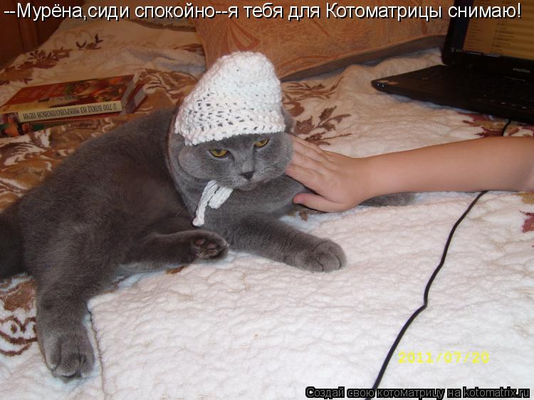 --Мурёна,сиди спокойно--я тебя для Котоматрицы снимаю!... Котоматрица: --Мурёна,сиди спокойно--я тебя для Котоматрицы снимаю!