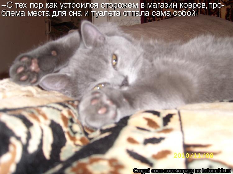 --С тех пор,как устроился сторожем в магазин ковров,про- блема места для сна и туалета отпала сама со... Котоматрица: --С тех пор,как устроился сторожем в магазин ковров,про- блема места для сна и туалета отпала сама собой!
