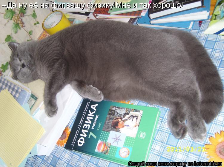 --Да ну её на фиг,вашу физику!Мне и так хорошо!... Котоматрица: --Да ну её на фиг,вашу физику!Мне и так хорошо!