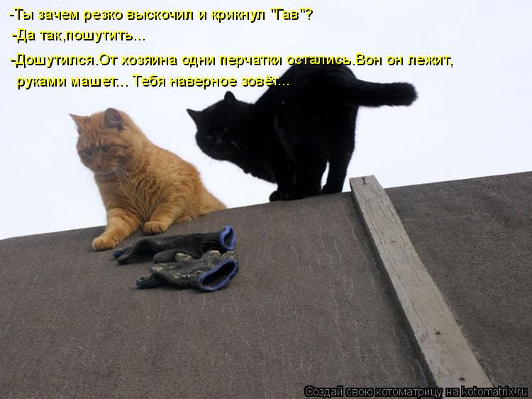-Ты зачем резко выскочил и крикнул "Гав"? -Да так,пошутить... -Дошутился.От хозяина одни перчатки ост... Котоматрица: -Ты зачем резко выскочил и крикнул "Гав"? -Да так,пошутить... -Дошутился.От хозяина одни перчатки остались.Вон он лежит, руками машет... Тебя нав