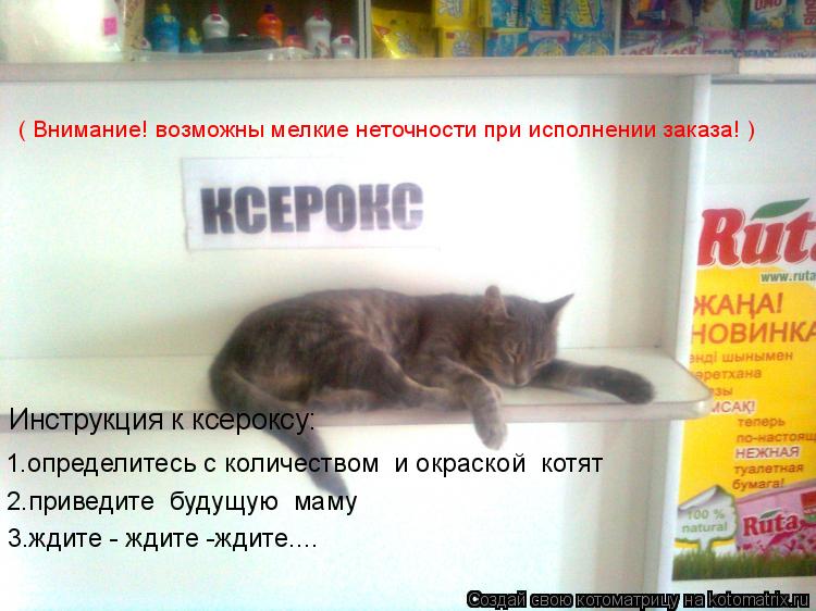 Инструкция к ксероксу: 1.определитесь с количеством и окраской котят 2.приведите будущую маму 3.ж... Котоматрица: Инструкция к ксероксу: 1.определитесь с количеством и окраской котят 2.приведите будущую маму 3.ждите - ждите -ждите.... ( Внимание! возможны
