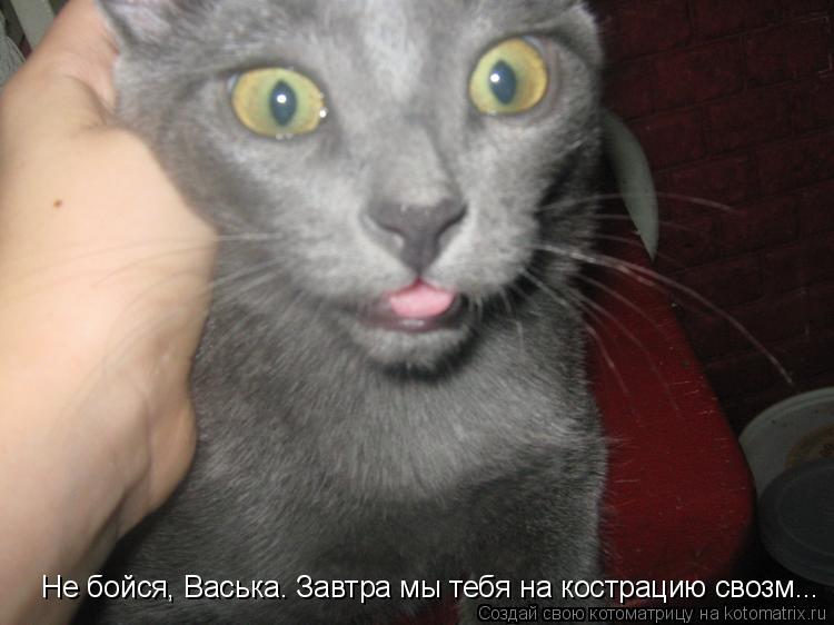 Не бойся, Васька. Завтра мы тебя на кострацию свозм...... Котоматрица: Не бойся, Васька. Завтра мы тебя на кострацию свозм...