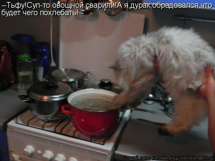 --Тьфу!Суп-то овощной сварили!А я,дурак,обрадовался,что будет чего похлебать!... Котоматрица: --Тьфу!Суп-то овощной сварили!А я,дурак,обрадовался,что будет чего похлебать!