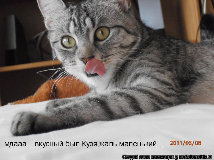 мдааа....вкусный был Кузя,жаль,маленький....... Котоматрица: мдааа....вкусный был Кузя,жаль,маленький....