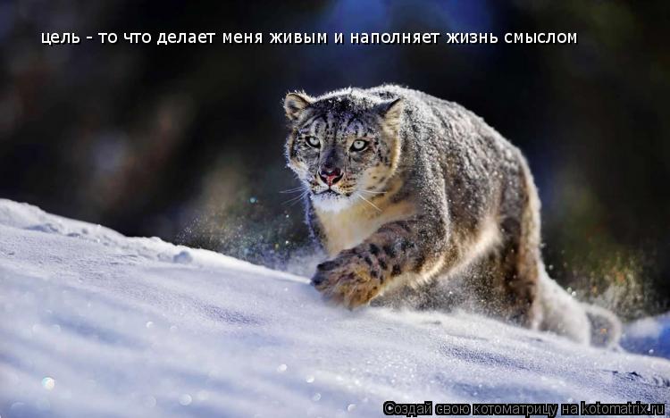 цель - то что делает меня живым и наполняет жизнь смыслом цель делает меня живым и наполняет жизнь см... Котоматрица: цель - то что делает меня живым и наполняет жизнь смыслом цель делает меня живым и наполняет жизнь смыслом
