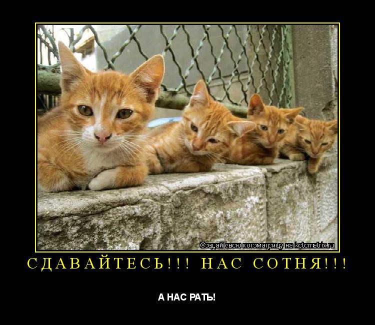 Сдавайтесь!!! Нас сотня!!! А НАС РАТЬ!... Котоматрица: Сдавайтесь!!! Нас сотня!!! А НАС РАТЬ!