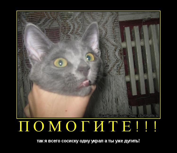 помогите!!! так я всего сосиску одну украл а ты уже дугить!... Котоматрица: помогите!!! так я всего сосиску одну украл а ты уже дугить!