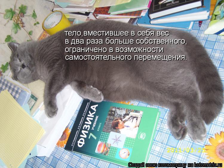 тело,вместившее в себя вес в два раза больше собственного, ограничено в возможности самостоятельного... Котоматрица: тело,вместившее в себя вес в два раза больше собственного, ограничено в возможности самостоятельного перемещения.