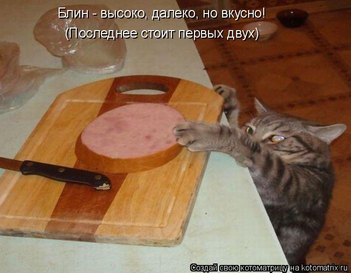 Блин - высоко, далеко, но вкусно! (Последнее стоит первых двух)... Котоматрица: Блин - высоко, далеко, но вкусно! (Последнее стоит первых двух)