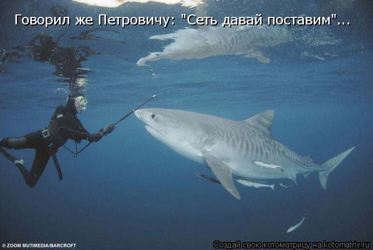 Говорил же Петровичу: "Сеть давай поставим"...... Котоматрица: Говорил же Петровичу: "Сеть давай поставим"...