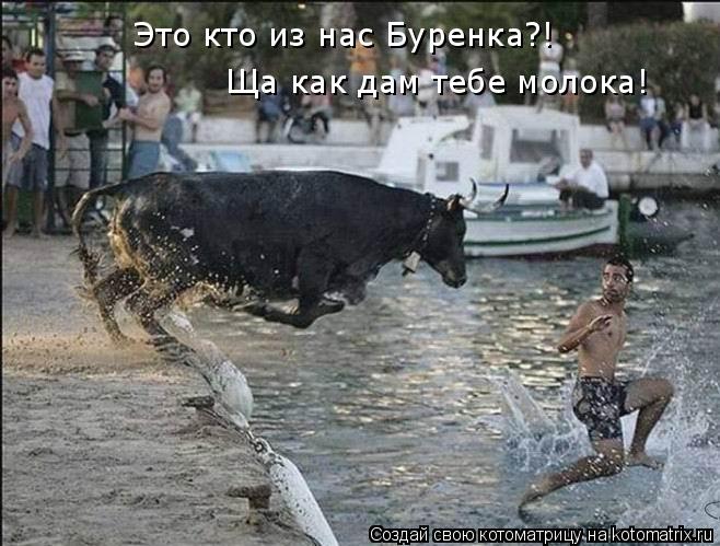 Это кто из нас Буренка?! Ща как дам тебе молока!... Котоматрица: Это кто из нас Буренка?! Ща как дам тебе молока!