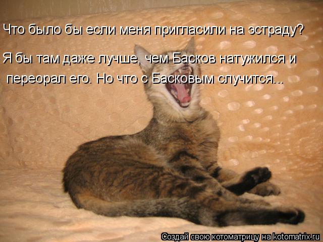 Что было бы если меня пригласили на эстраду? Я бы там даже лучше, чем Басков натужился и переорал его... Котоматрица: Что было бы если меня пригласили на эстраду? Я бы там даже лучше, чем Басков натужился и переорал его. Но что с Басковым случится...