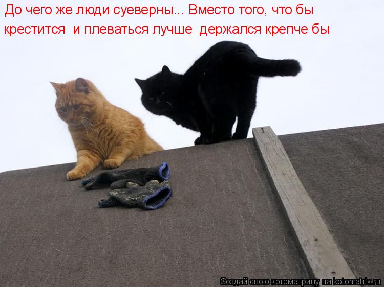 До чего же люди суеверны... Вместо того, что бы крестится и плеваться лучше держался крепче бы... Котоматрица: До чего же люди суеверны... Вместо того, что бы крестится и плеваться лучше держался крепче бы