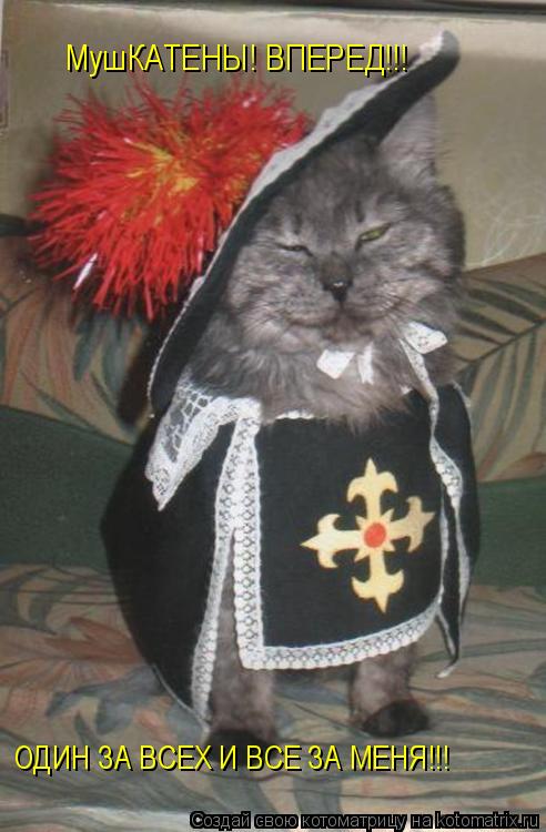 МушКАТЕНЫ! ВПЕРЕД!!! ОДИН ЗА ВСЕХ И ВСЕ ЗА МЕНЯ!!!... Котоматрица: МушКАТЕНЫ! ВПЕРЕД!!! ОДИН ЗА ВСЕХ И ВСЕ ЗА МЕНЯ!!!