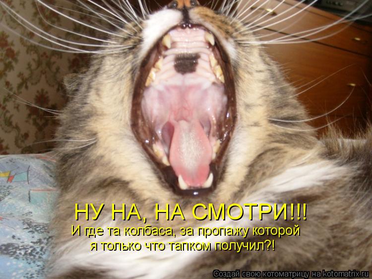Котоматрица: НУ НА, НА СМОТРИ!!! И где та колбаса, за пропажу которой  я только что тапком получил?!