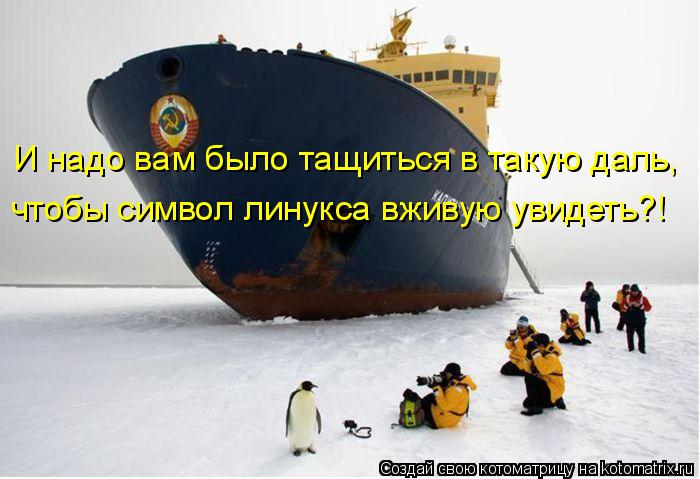 Котоматрица: И надо вам было тащиться в такую даль,  чтобы символ линукса вживую увидеть?!