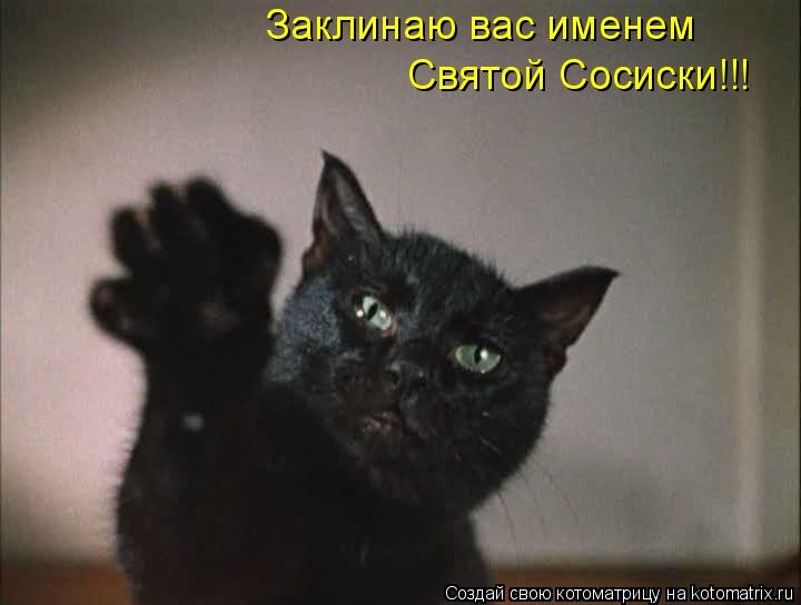 Котоматрица: Заклинаю вас именем Святой Сосиски!!!
