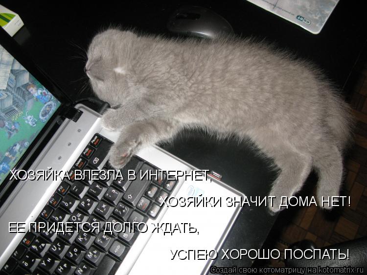 Котоматрица: ХОЗЯЙКА ВЛЕЗЛА В ИНТЕРНЕТ, ХОЗЯЙКИ ЗНАЧИТ ДОМА НЕТ! ЕЕ ПРИДЕТСЯ ДОЛГО ЖДАТЬ, УСПЕЮ ХОРОШО ПОСПАТЬ!