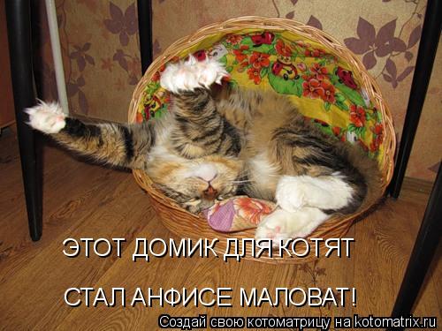 Котоматрица: ЭТОТ ДОМИК ДЛЯ КОТЯТ СТАЛ АНФИСЕ МАЛОВАТ!