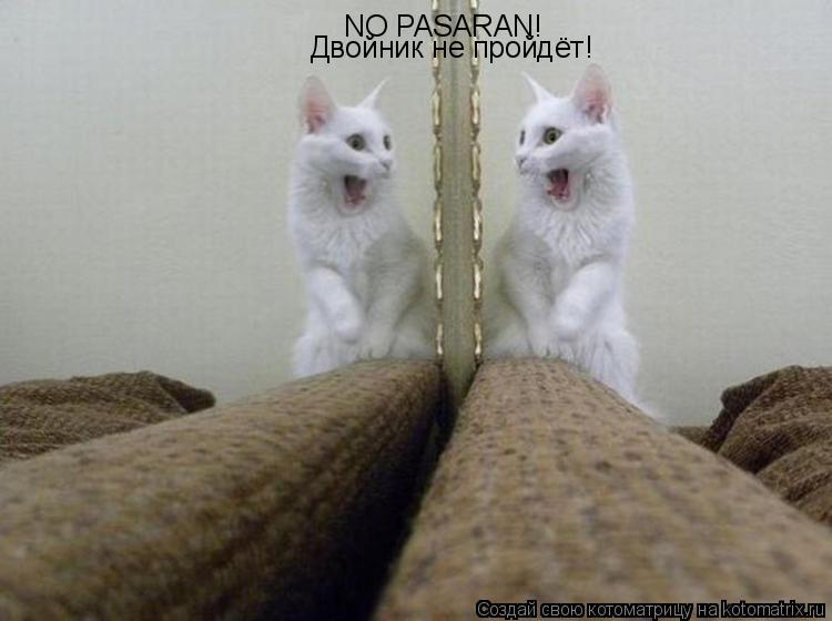 NO PASARAN! Двойник не пройдёт!... Котоматрица: NO PASARAN! Двойник не пройдёт!