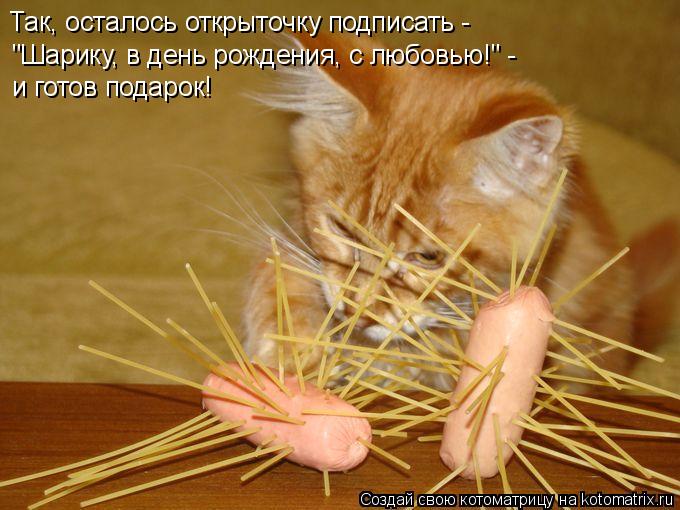Так, осталось открыточку подписать - "Шарику, в день рождения, с любовью!" - и готов подарок!... Котоматрица: Так, осталось открыточку подписать - "Шарику, в день рождения, с любовью!" - и готов подарок!
