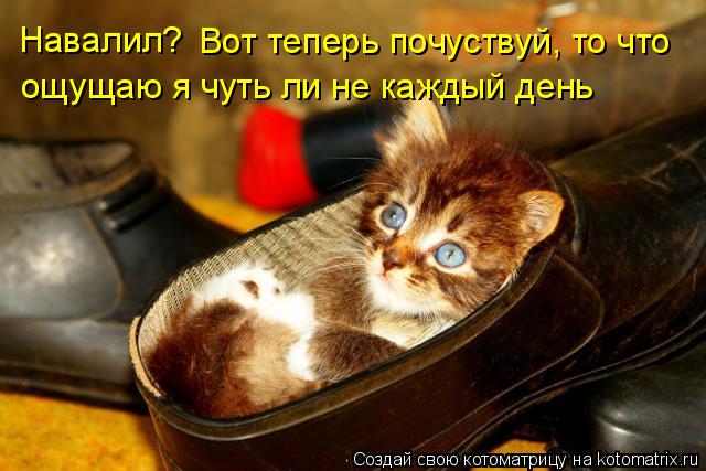 Навалил? Вот теперь почуствуй, то что ощущаю я чуть ли не каждый день... Котоматрица: Навалил? Вот теперь почуствуй, то что ощущаю я чуть ли не каждый день