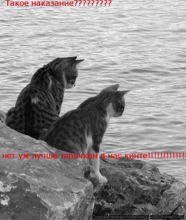 Такое наказание????????? нет уж лучше тапочком в нас кинте!!!!!!!!!!!!!... Котоматрица: Такое наказание????????? нет уж лучше тапочком в нас кинте!!!!!!!!!!!!!