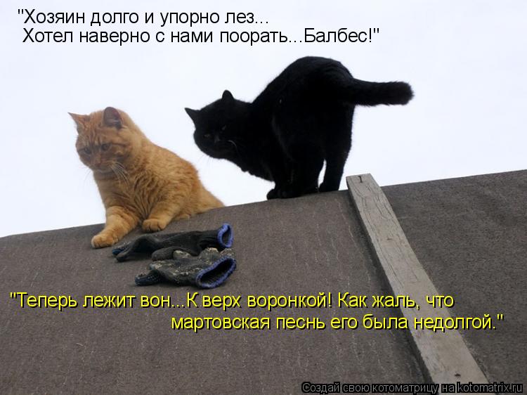 "Хозяин долго и упорно лез... Хотел наверно с нами поорать...Балбес!" "Теперь лежит вон...К верх воро... Котоматрица: "Хозяин долго и упорно лез... Хотел наверно с нами поорать...Балбес!" "Теперь лежит вон...К верх воронкой! Как жаль, что мартовская песнь его был