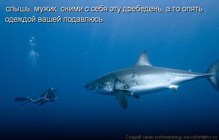 слышь, мужик, сними с себя эту дребедень, а то опять одеждой вашей подавлюсь... Котоматрица: слышь, мужик, сними с себя эту дребедень, а то опять одеждой вашей подавлюсь