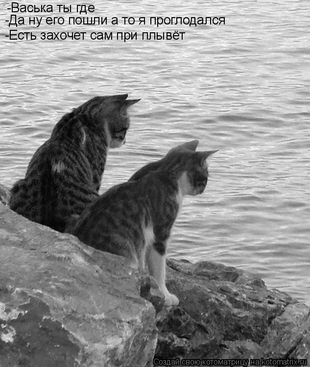 -Васька ты где -Да ну его пошли а то я проглодался -Есть захочет сам при плывёт... Котоматрица: -Васька ты где -Да ну его пошли а то я проглодался -Есть захочет сам при плывёт