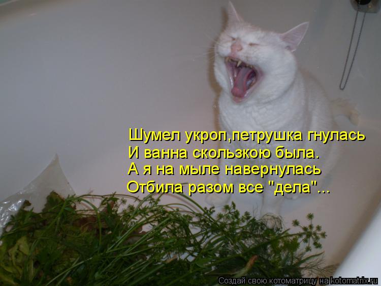 Шумел укроп,петрушка гнулась И ванна скользкою была. А я на мыле навернулась Отбила разом все "дела".... Котоматрица: Шумел укроп,петрушка гнулась И ванна скользкою была. А я на мыле навернулась Отбила разом все "дела"...