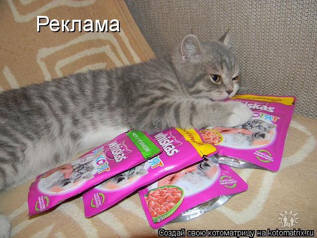 Реклама... Котоматрица: Реклама
