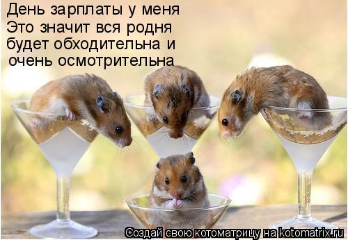 День зарплаты у меня Это значит вся родня будет обходительна и очень осмотрительна... Котоматрица: День зарплаты у меня Это значит вся родня будет обходительна и очень осмотрительна