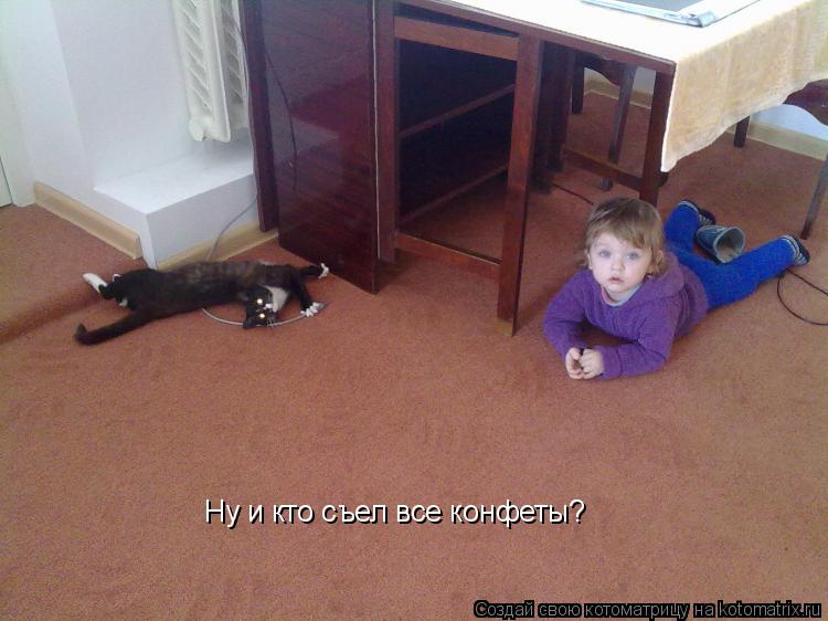 Ну и кто съел все конфеты?... Котоматрица: Ну и кто съел все конфеты?