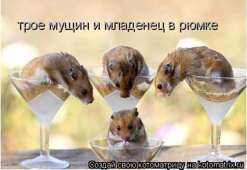 трое мущин и младенец в рюмке... Котоматрица: трое мущин и младенец в рюмке