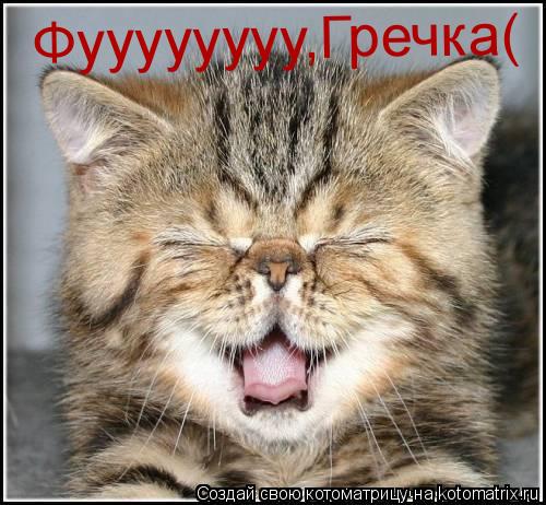Фуууууууу,Гречка(... Котоматрица: Фуууууууу,Гречка(