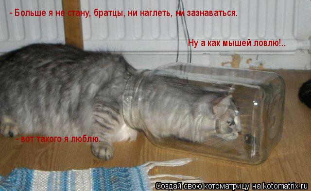 - Больше я не стану, братцы, ни наглеть, ни зазнаваться. Ну а как мышей ловлю!.. - вот такого я люб... Котоматрица: - Больше я не стану, братцы, ни наглеть, ни зазнаваться. Ну а как мышей ловлю!.. - вот такого я люблю.