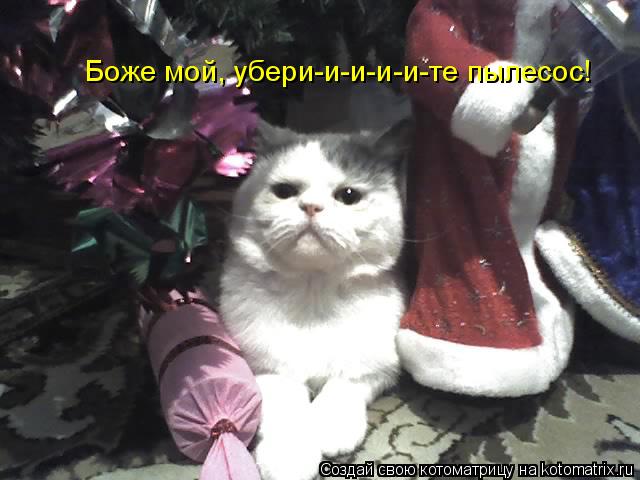 Боже мой, убери-и-и-и-и-те пылесос!... Котоматрица: Боже мой, убери-и-и-и-и-те пылесос!