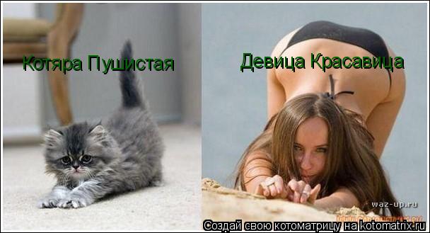 Девица Красавица Котяра Пушистая... Котоматрица: Девица Красавица Котяра Пушистая