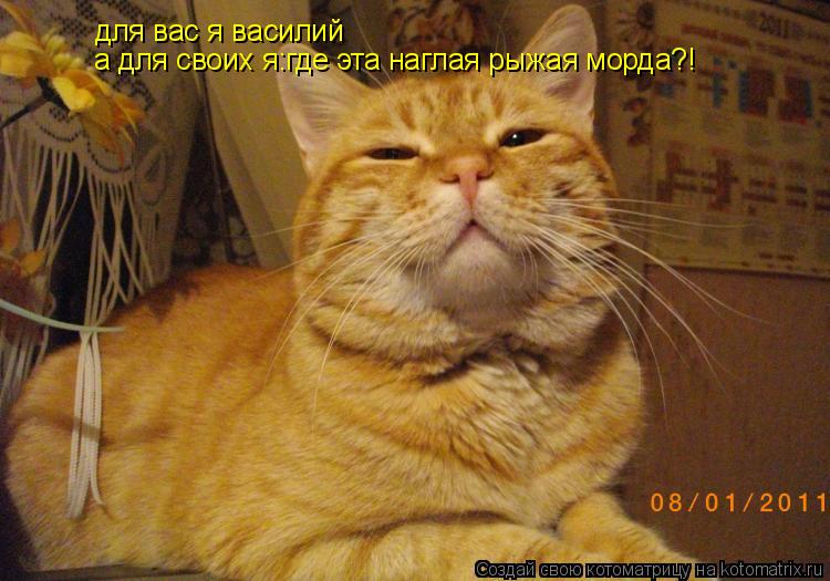 для вас я василий а для своих я:где эта наглая рыжая морда?!... Котоматрица: для вас я василий а для своих я:где эта наглая рыжая морда?!