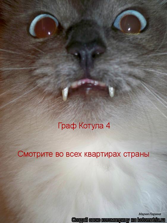 Граф Котула 4 Смотрите во всех квартирах страны... Котоматрица: Граф Котула 4 Смотрите во всех квартирах страны
