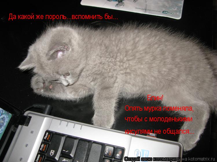 Опять мурка поменяла, чтобы с молоденькими кисулями не общался... Да какой же пороль...вспомнить бы..... Котоматрица: Опять мурка поменяла, чтобы с молоденькими кисулями не общался... Да какой же пороль...вспомнить бы... Блин!