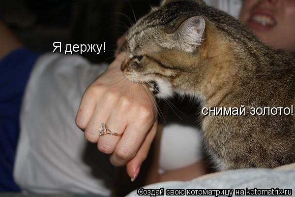 Я держу! снимай золото!... Котоматрица: Я держу! снимай золото!