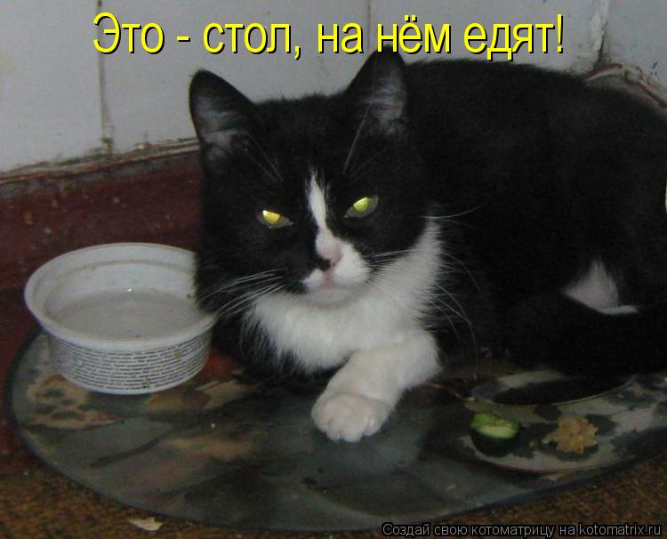 Это - стол, на нём едят!... Котоматрица: Это - стол, на нём едят!