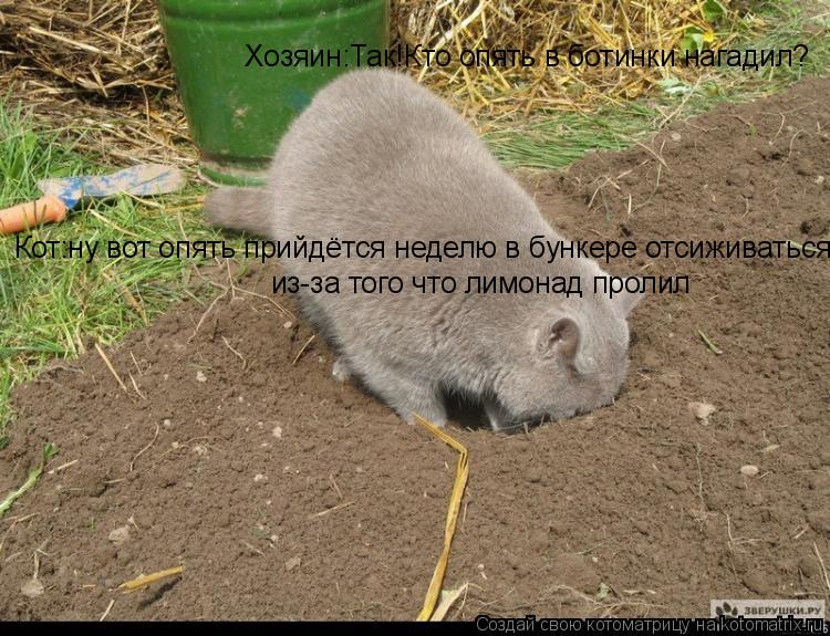 Хозяин:Так!Кто опять в ботинки нагадил? Кот:ну вот опять прийдётся неделю в бункере отсиживаться из-з... Котоматрица: Хозяин:Так!Кто опять в ботинки нагадил? Кот:ну вот опять прийдётся неделю в бункере отсиживаться из-за того что лимонад пролил. из-за того чт