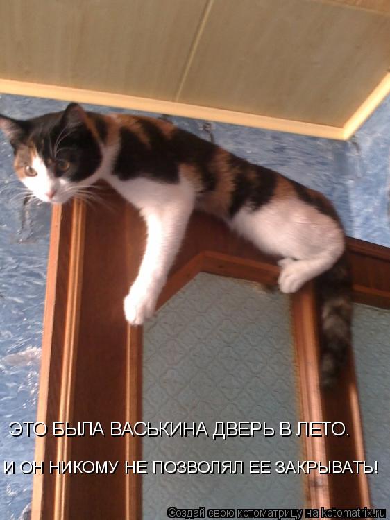 ЭТО БЫЛА ВАСЬКИНА ДВЕРЬ В ЛЕТО. И ОН НИКОМУ НЕ ПОЗВОЛЯЛ ЕЕ ЗАКРЫВАТЬ!... Котоматрица: ЭТО БЫЛА ВАСЬКИНА ДВЕРЬ В ЛЕТО. И ОН НИКОМУ НЕ ПОЗВОЛЯЛ ЕЕ ЗАКРЫВАТЬ!