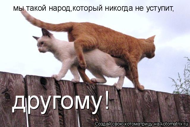 мы такой народ,который никогда не уступит, другому!... Котоматрица: мы такой народ,который никогда не уступит, другому!