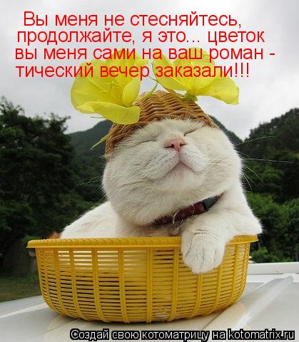 Вы меня не стесняйтесь, продолжайте, я это... цветок вы меня сами на ваш роман - тический вечер зак... Котоматрица: Вы меня не стесняйтесь, продолжайте, я это... цветок вы меня сами на ваш роман - тический вечер заказали!!!